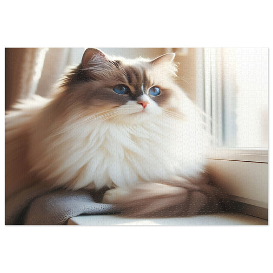 Ragdoll