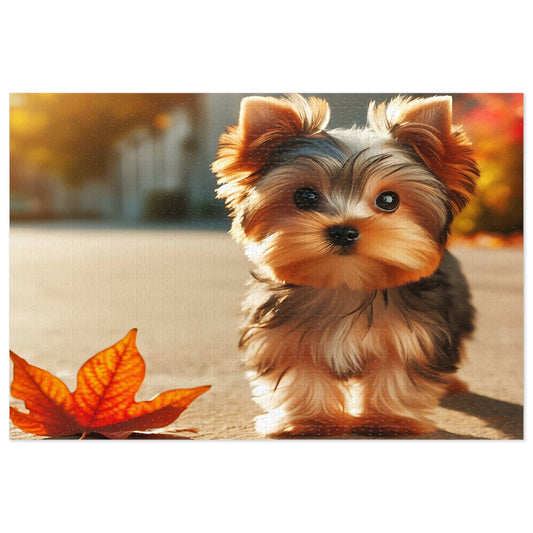 Yorkshire Terrier