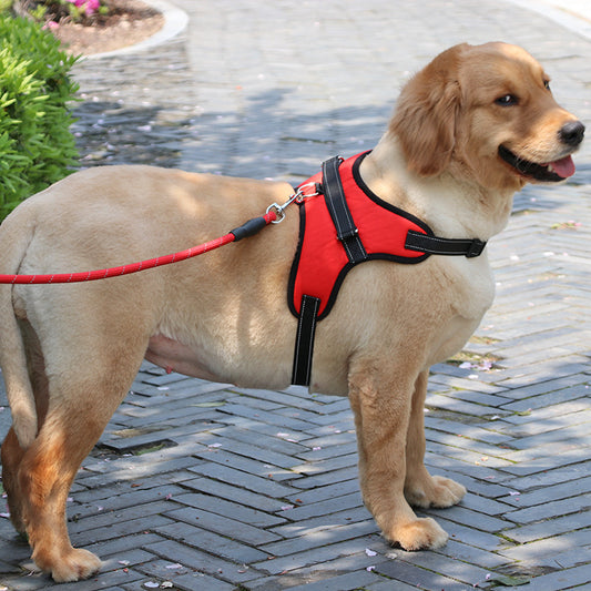 Padded Nylon Reflective Harness with Braided Leash